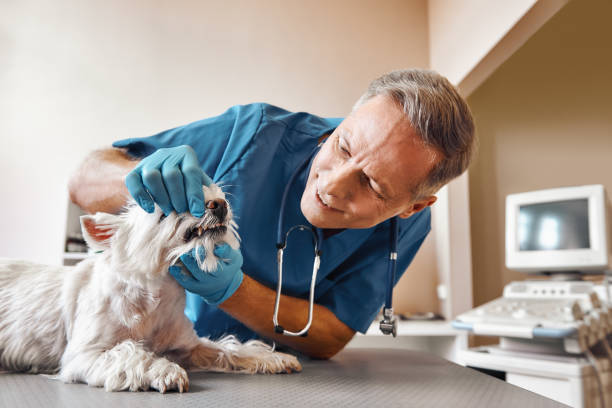 Best Tooth Infection Emergency Dentist  in Grand Haven, MI